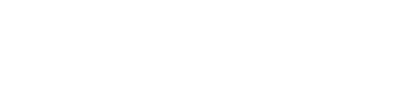 Logo oficial de FESAVOL